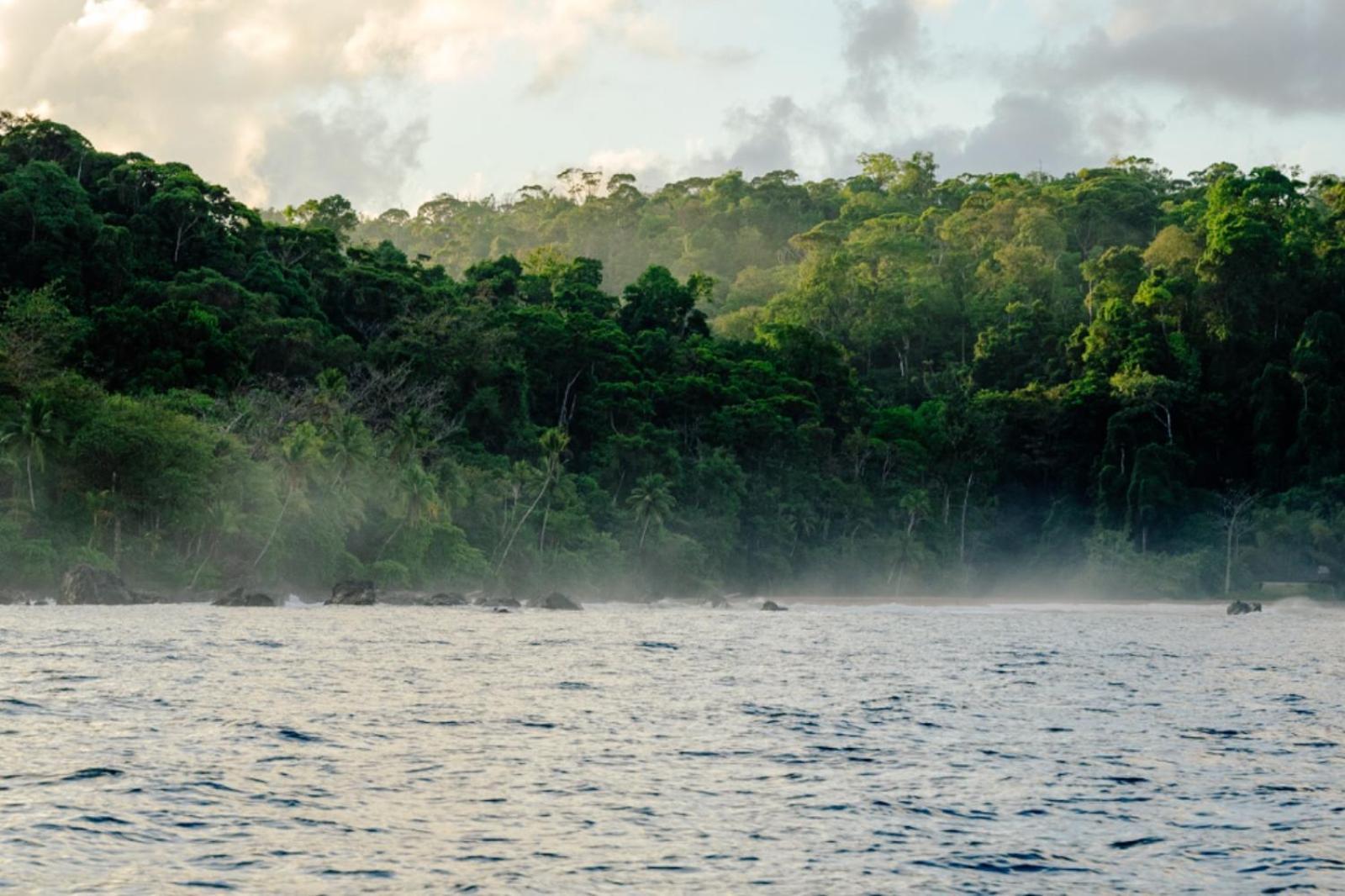 הוסטל Drakes Bay Corcovado Adventures מראה חיצוני תמונה