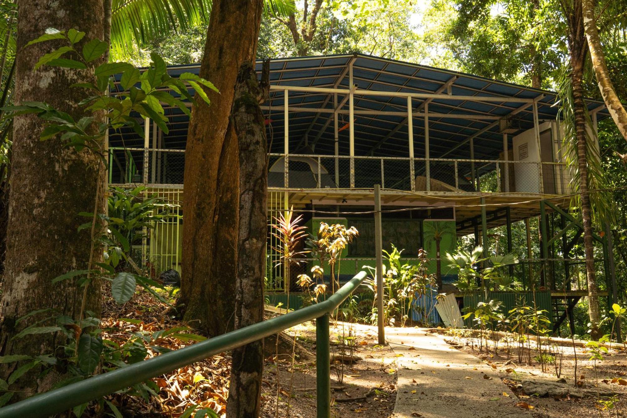 הוסטל Drakes Bay Corcovado Adventures מראה חיצוני תמונה