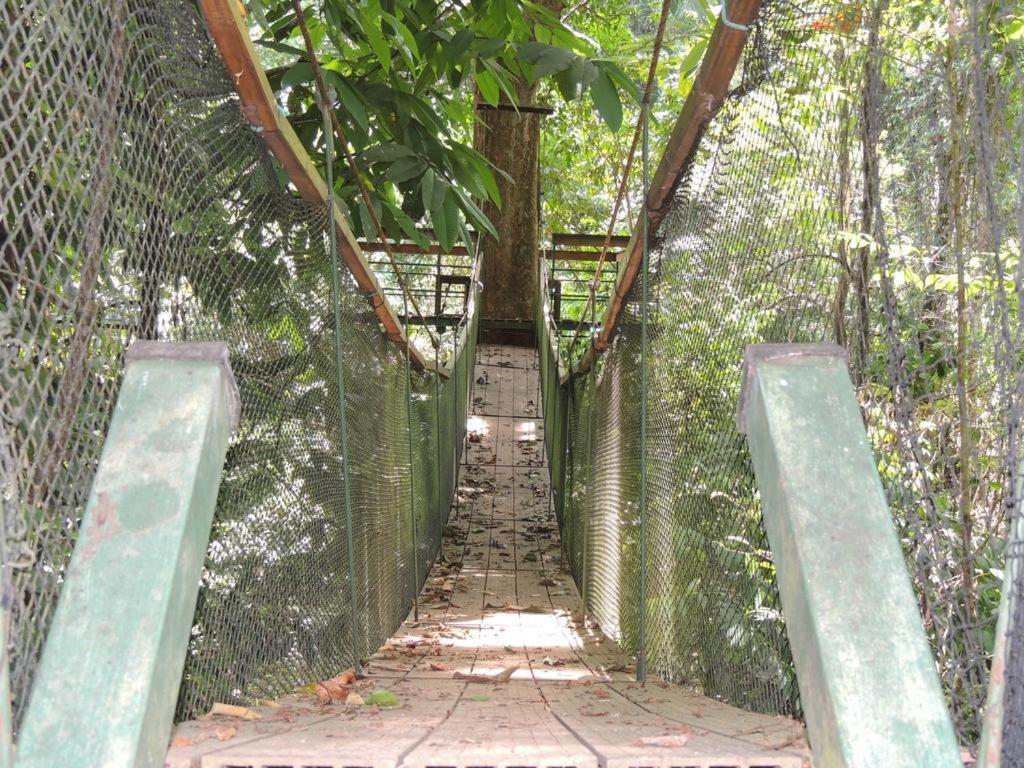 הוסטל Drakes Bay Corcovado Adventures מראה חיצוני תמונה
