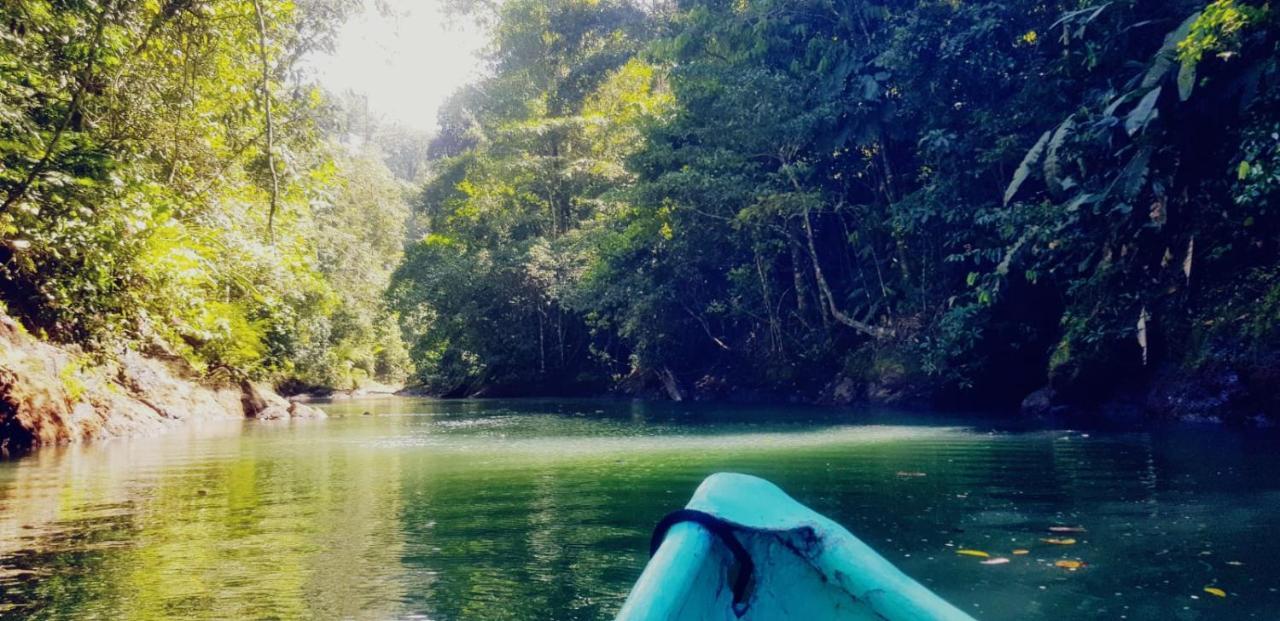 הוסטל Drakes Bay Corcovado Adventures מראה חיצוני תמונה
